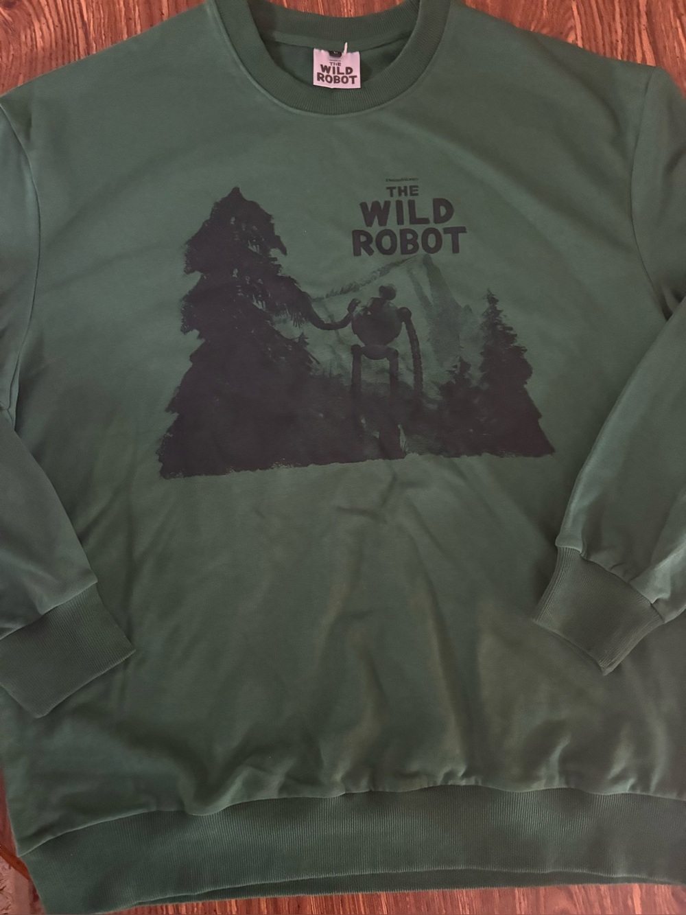 DreamWorks The Wild Robot Green Graphic Sweatshirt Pullover Movie Roz